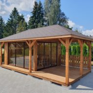 PAVESINĖ SU STUMDOMAIS STIKLAIS NR.25-51